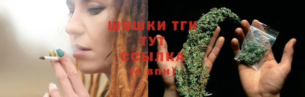 тгк Бронницы