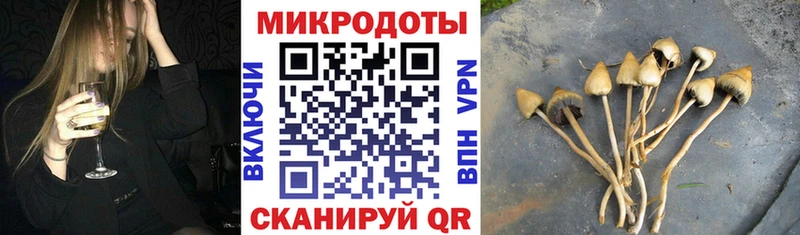 Псилоцибиновые грибы мицелий  дарнет шоп  Сосногорск 